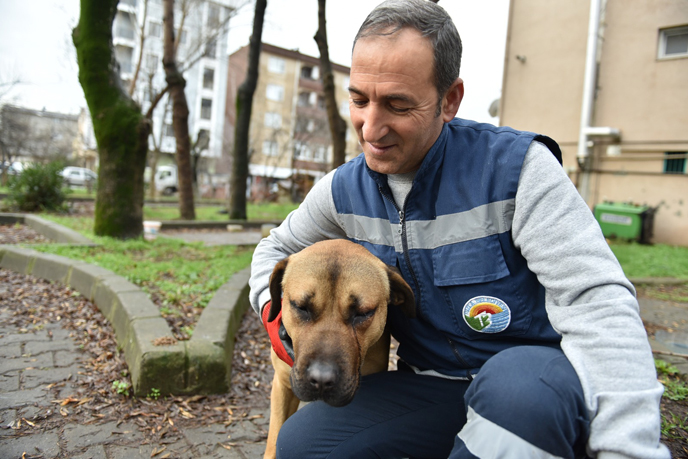 SEVİMLİ DOSTLARIMIZ YALNIZ DEĞİL…