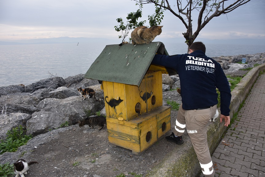 TUZLA BELEDİYESİ 80 SAATLİK SOKAĞA ÇIKMA KISITLAMASINDA SOKAK HAYVANLARINI UNTUMADI