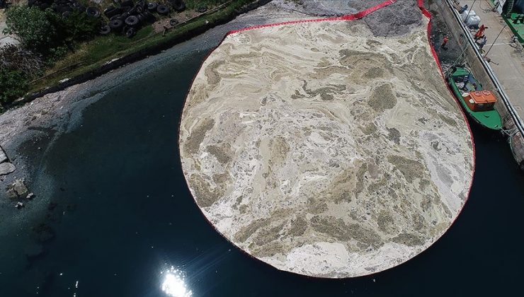 BAKAN KURUM: MARMARA DENİZİ’NDEN 13 GÜNDE 4 BİN 929 METREKÜP MÜSİLAJ TEMİZLENDİ