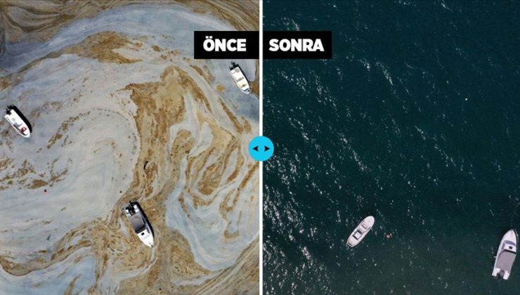 MARMARA DENİZİ’NİN GÜNEY KIYILARINDA MÜSİLAJ YOK DENİLECEK KADAR AZALDI