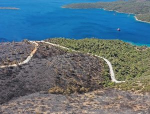 TARIM VE ORMAN BAKANI BEKİR PAKDEMİRLİ: MUĞLA MİLAS YANGINI KONTROL ALTINA ALINDI