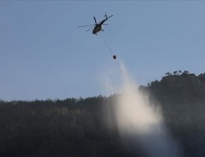 TARIM VE ORMAN BAKANI PAKDEMİRLİ: MUĞLA’DA VE AYDIN’DAKİ 3 ORMAN YANGINI İÇİN ÇALIŞMALAR DEVAM EDİYOR