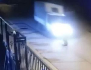 TUZLA’DA KAMYONETİN EZDİĞİ KÖPEK ÖLDÜ! SÜRÜCÜ DURMAYARAK YOLUNA DEVAM ETTİ