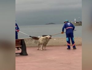 TEMİZLİK PERSONELİ VE KÖPEĞİN YÜREKLERİ ISITAN GÖRÜNTÜSÜ