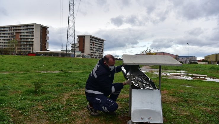 TUZLA BELEDİYESİ’NDEN SOKAK HAYVANLARI İÇİN MAMA SEFERBERLİĞİ