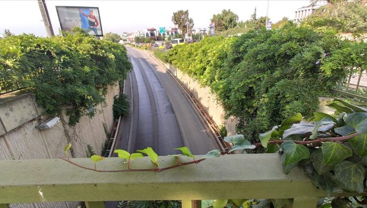 DİKEY BAHÇELERİN SÖKÜMÜ DEVAM EDİYOR