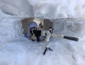 SINIRIN KARLI DAĞLARINDA TERÖRİSTLERE NEFES ALDIRMIYORLAR