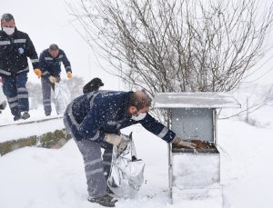 TUZLA BELEDİYESİ EKİPLERİ 63 ARAÇ VE 450 PERSONEL İLE KARLA MÜCADELE ÇALIŞMALARINI SÜRDÜRÜYOR