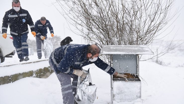 TUZLA BELEDİYESİ EKİPLERİ 63 ARAÇ VE 450 PERSONEL İLE KARLA MÜCADELE ÇALIŞMALARINI SÜRDÜRÜYOR
