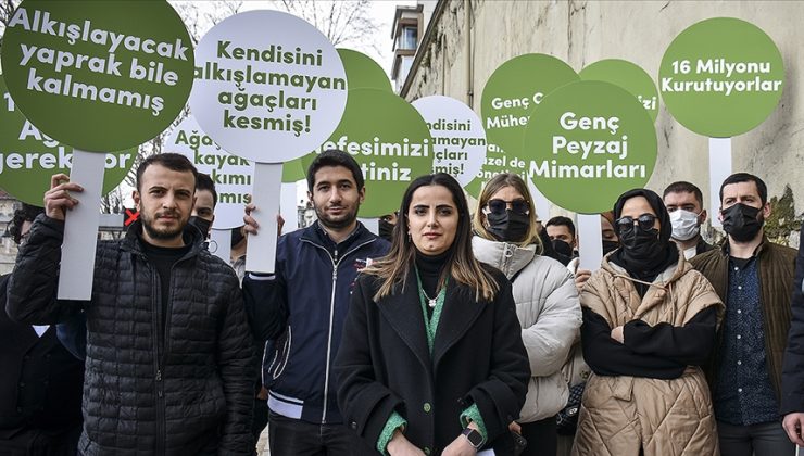 MİMARİ VE ŞEHİRCİLİK PLATFORMUNDAN İBB’YE ÇINAR AĞACI TEPKİSİ