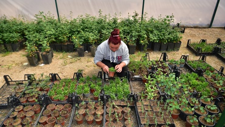 KUAFÖRLÜK YAPARKEN ÇİFTÇİLİĞE GEÇTİ, 28 YAŞINDA GÖRENLERİ HAYRAN BIRAKTI