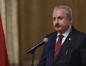 ŞENTOP: TERÖR ÖRGÜTÜ, SURİYE’DEKİ KONTROLSÜZ ORTAMI DA FIRSAT BİLEREK FAALİYETLERİNİ SÜRDÜRÜYOR