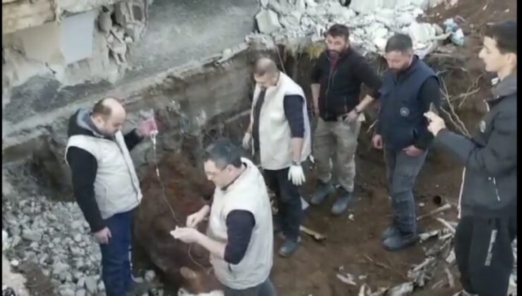 TARIM VE ORMAN MÜDÜRLÜĞÜ 274.SAATTE “SARI İNEĞİ” SAĞ ÇIKARDI