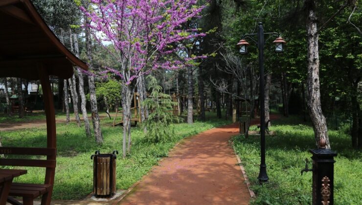 TUZLA’DA HİZMET BELEDİYECİLİĞİ: 148 PARK VATANDAŞIN HİZMETİNDE