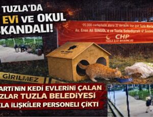 AK PARTİ’NİN KEDİ EVLERİNİ ÇALAN HIRSIZLAR TUZLA BELEDİYESİ HALKLA İLİŞKİLER PERSONELİ ÇIKTI
